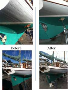 salgueromarineseadream